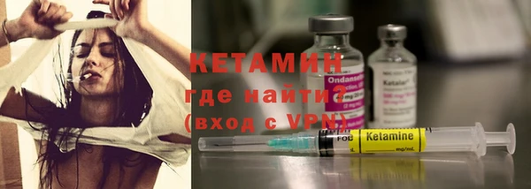 крисы Алзамай