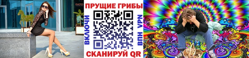 где можно купить   Дзержинский  KRAKEN сайт  Галлюциногенные грибы GOLDEN TEACHER 