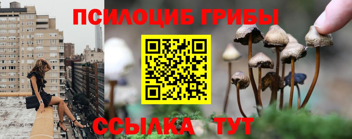 Дзержинский  Галлюциногенные грибы GOLDEN TEACHER  Вход с VPN 